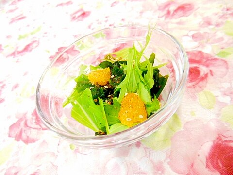 ❤ワカメと水菜と蜜柑のサラダ❤